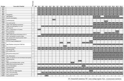 Genomic Analysis of Consecutive Acinetobacter baumannii Strains From a Single Patient